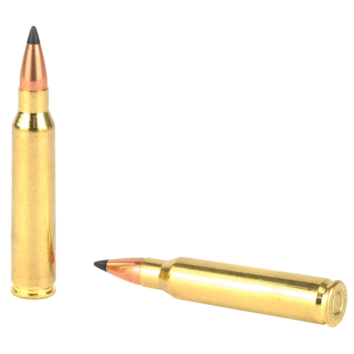 Dbltap Cd 223rem 62gr Sc-hp 20-1000