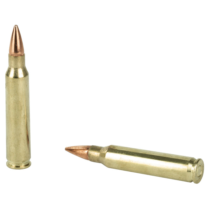 Dbltap 223rem 62gr Schp 20-1000