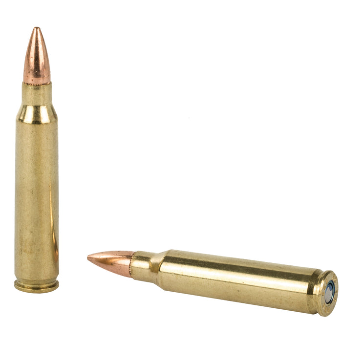 Fed Ae 223rem 55gr Fmj 100-500