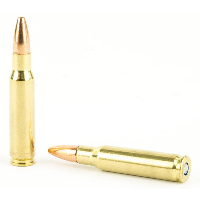 Fed Am Eagle V&p 308win 130gr 40-200