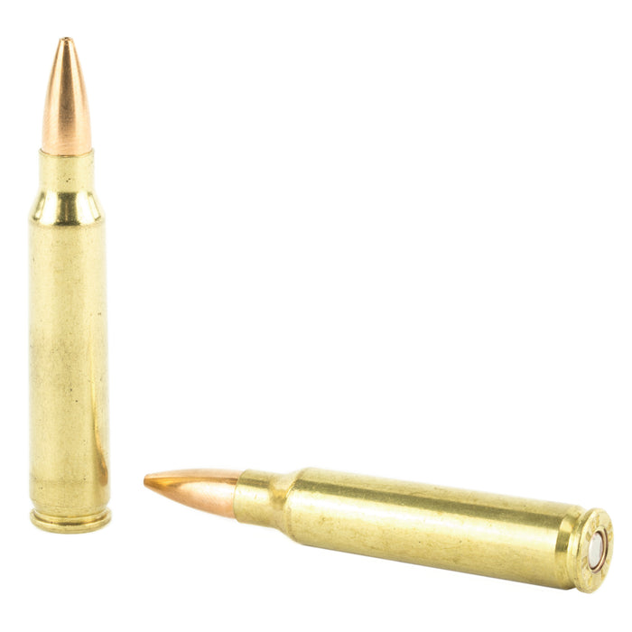 Fed Gold Mdl 223rem 77gr Bthp 20-200