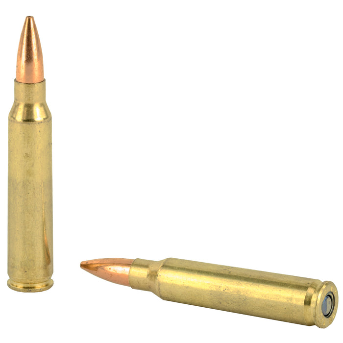 Fed Gold Mdl 223rem 69gr Bthp 20-200