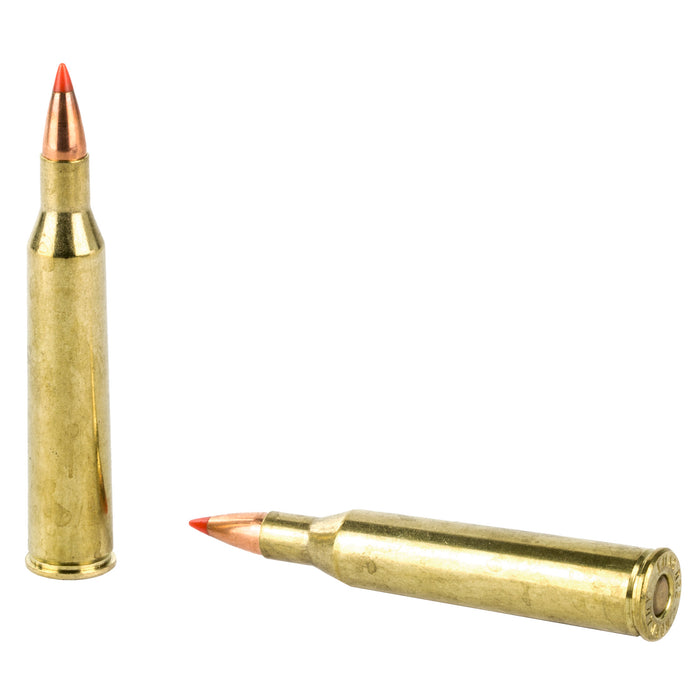 Hrndy 220 Swft 55gr Vmax 20-200