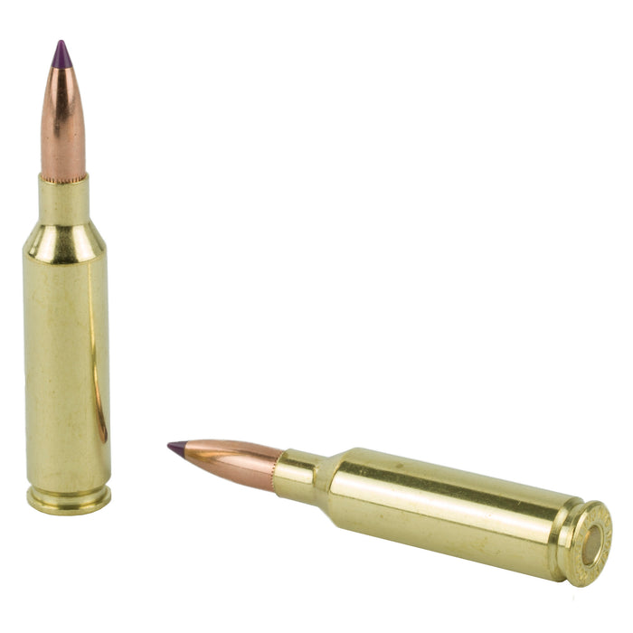 Nosler 6mm Creed 95gr Bt 20-200