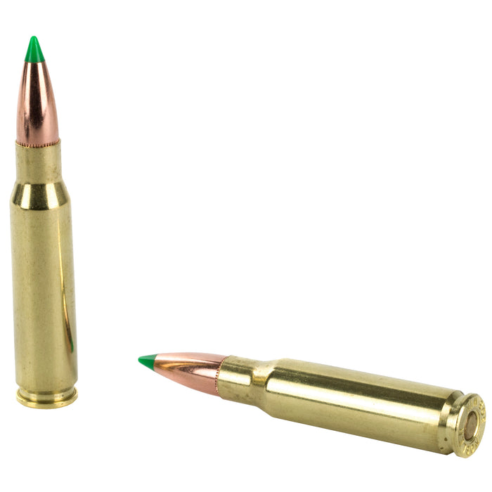 Nosler 308win 165gr Bt Hunt 20-200