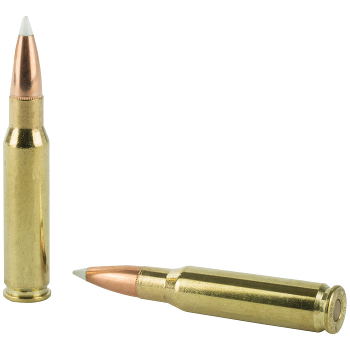Nosler 308win 150gr Ab 20-200
