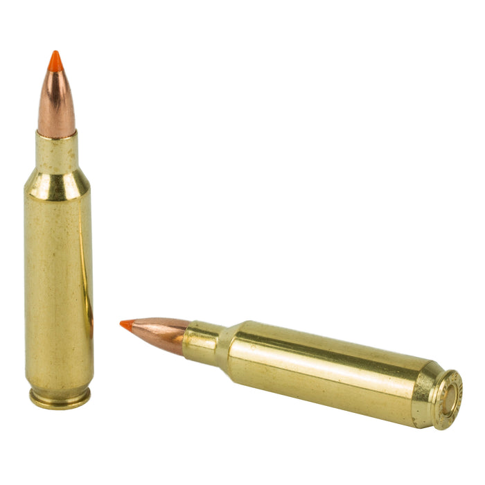 Nosler 22nos 55gr Bt 20-200