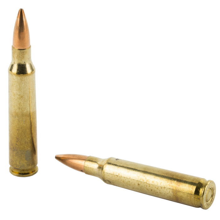 Win Match 223rem 69gr Bthp 20-200