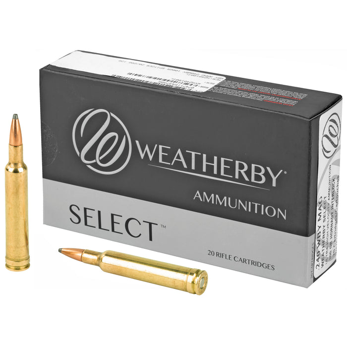 Wby Ammo 240wby 100gr Interlk 20-200